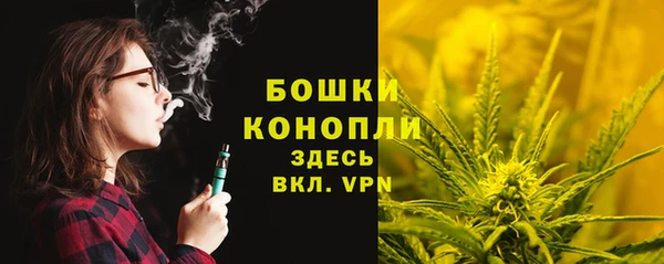 таблы Горняк