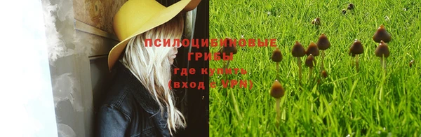 таблы Горняк