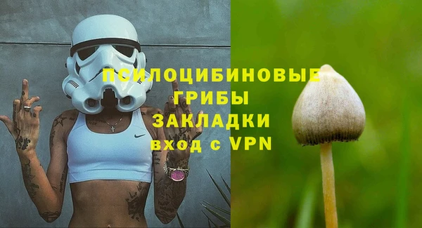 мяу мяу мука Вязьма
