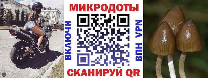 Купить закладки  Новотроицк  Псилоцибиновые грибы мухоморы 